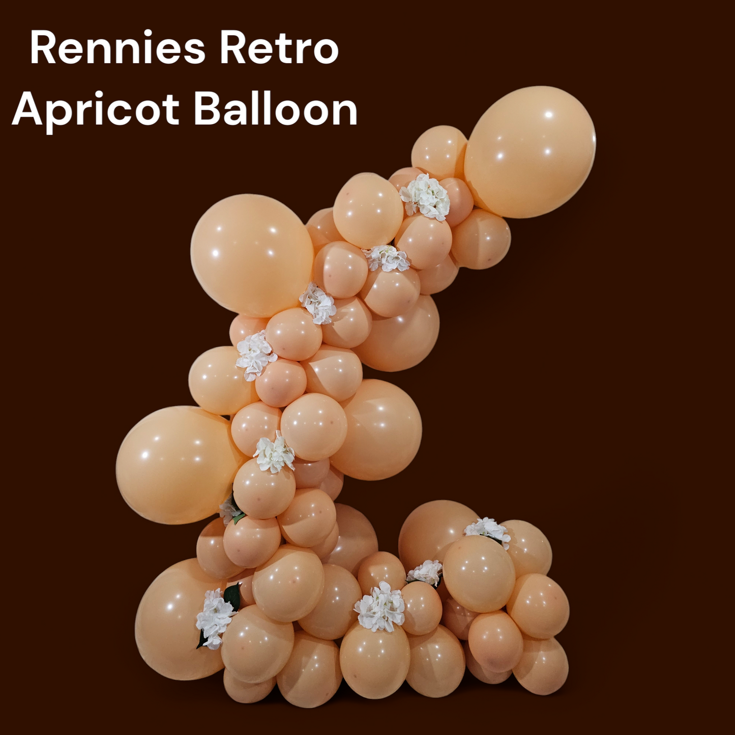Shop Best Retro Apricot Balloons
