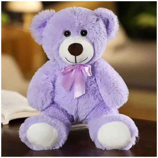 Purple Teddy Bear