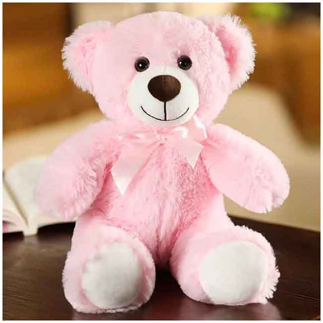 Pink Teddy Bear