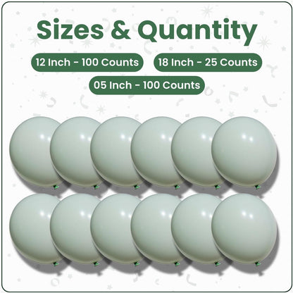 Macaron Green Latex Balloons