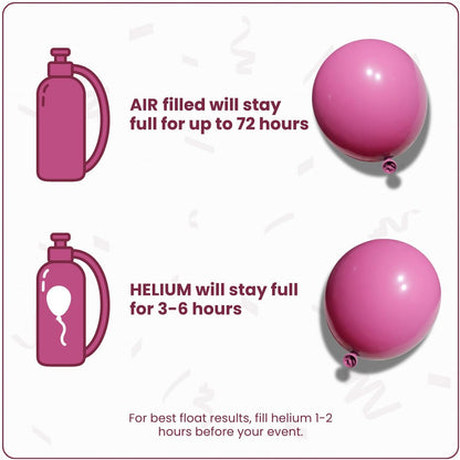 Retro Rose Latex Balloons